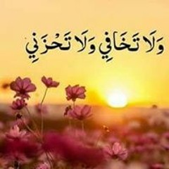 alshaimaa