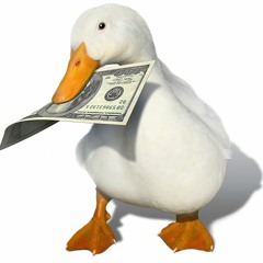 Little Ducky