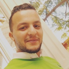 Mahmoud Adel Elweeshy