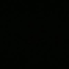 Pareploy Srichanthuek