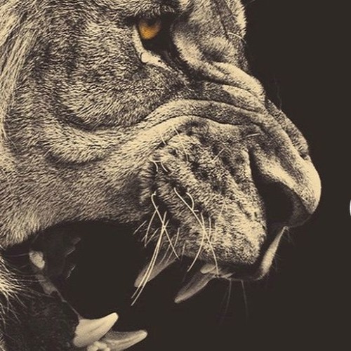 The Lion-Faced Guru (Podcast)’s avatar