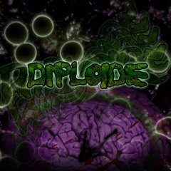 Diploide Rock