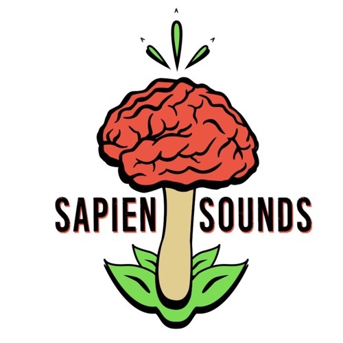 Sapien Sounds’s avatar