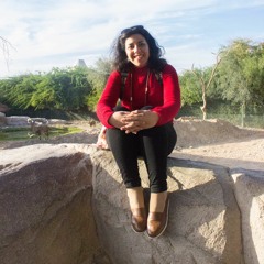 Aliaa Moneer