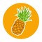 pineapple._.ash