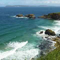 Haosheng Shi
