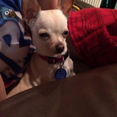 Maria Diane (m00psies)