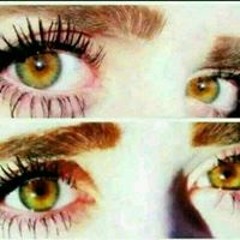 Eng Sabreen Alnoubani