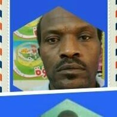 حماد ادم احمد