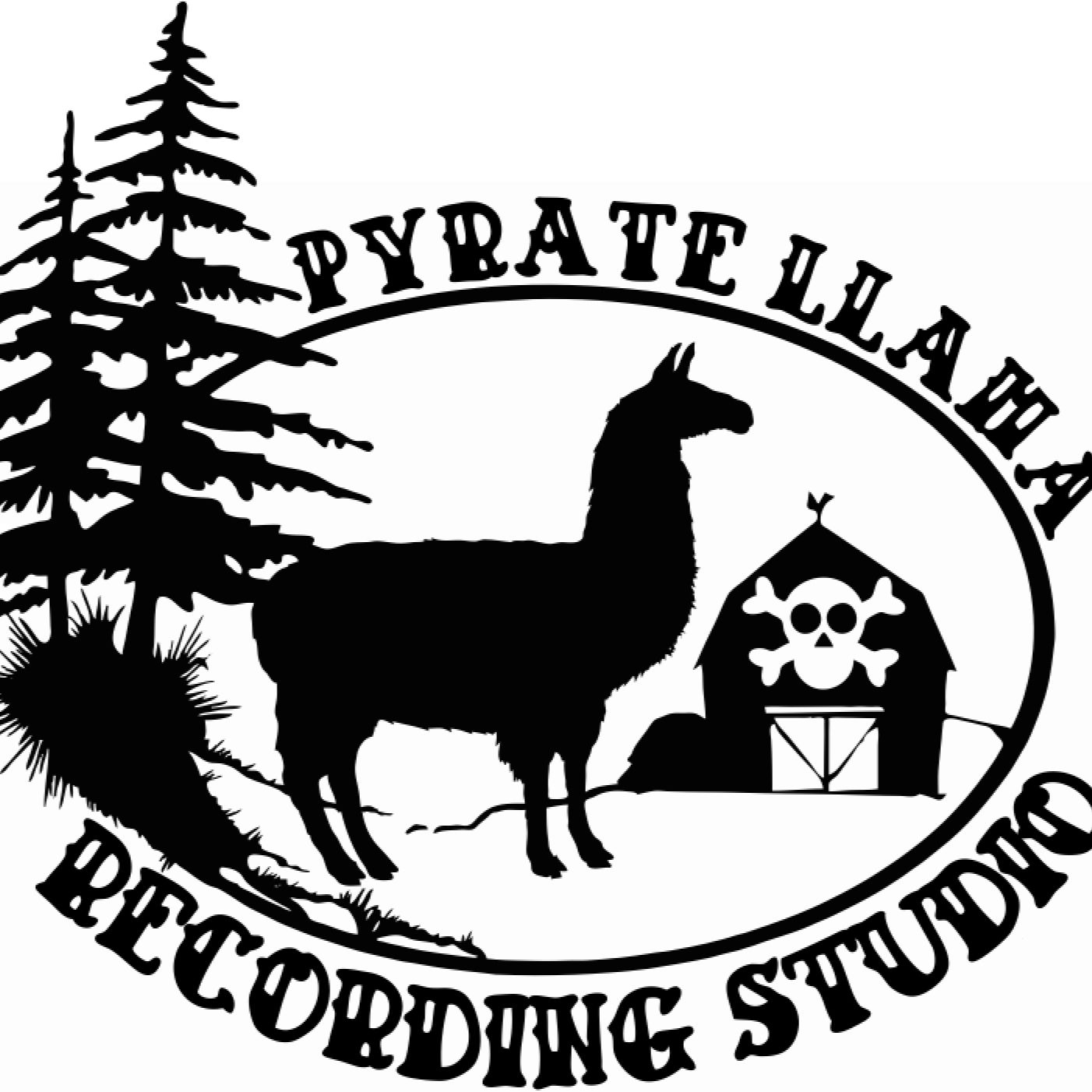 Conversations with musicians and a recording engineer