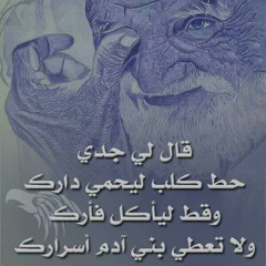 بيبو بيبو