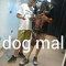 Jorge Matheus
