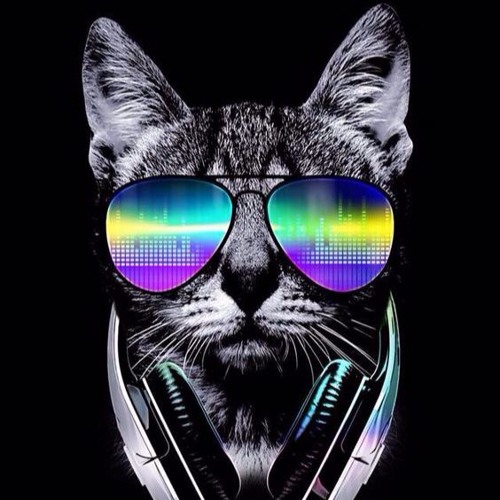 [HC] Tensor  Re - Direction - Wir Brauchen Bass