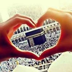 فراشه الاقصي