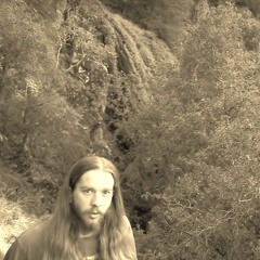 ~The~Hard~Hearted~Harp~