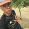 Pablo Henrique
