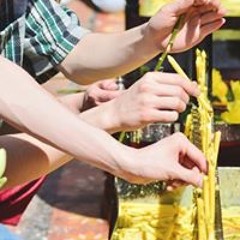 允道少城