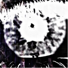 The Naughty Daughters