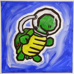 Space TurtleG