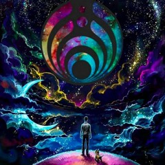 The Grateful Basshead