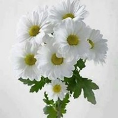 অন্ধকারে আলোর দিশা