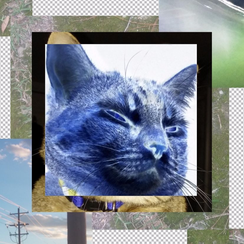 Catlights podcast artwork