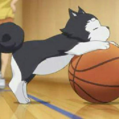 唯織塚田 S Stream