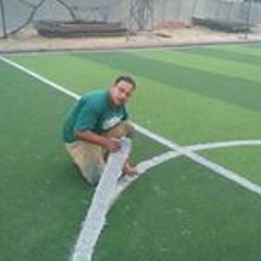هانى الالفى