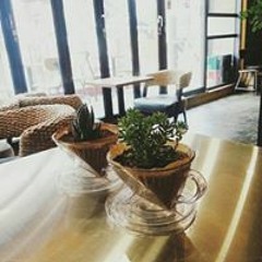 임애자
