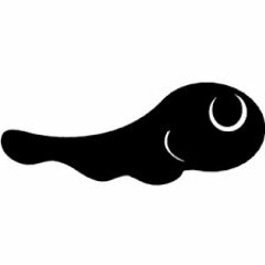DJ Tadpole
