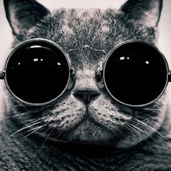 Yo