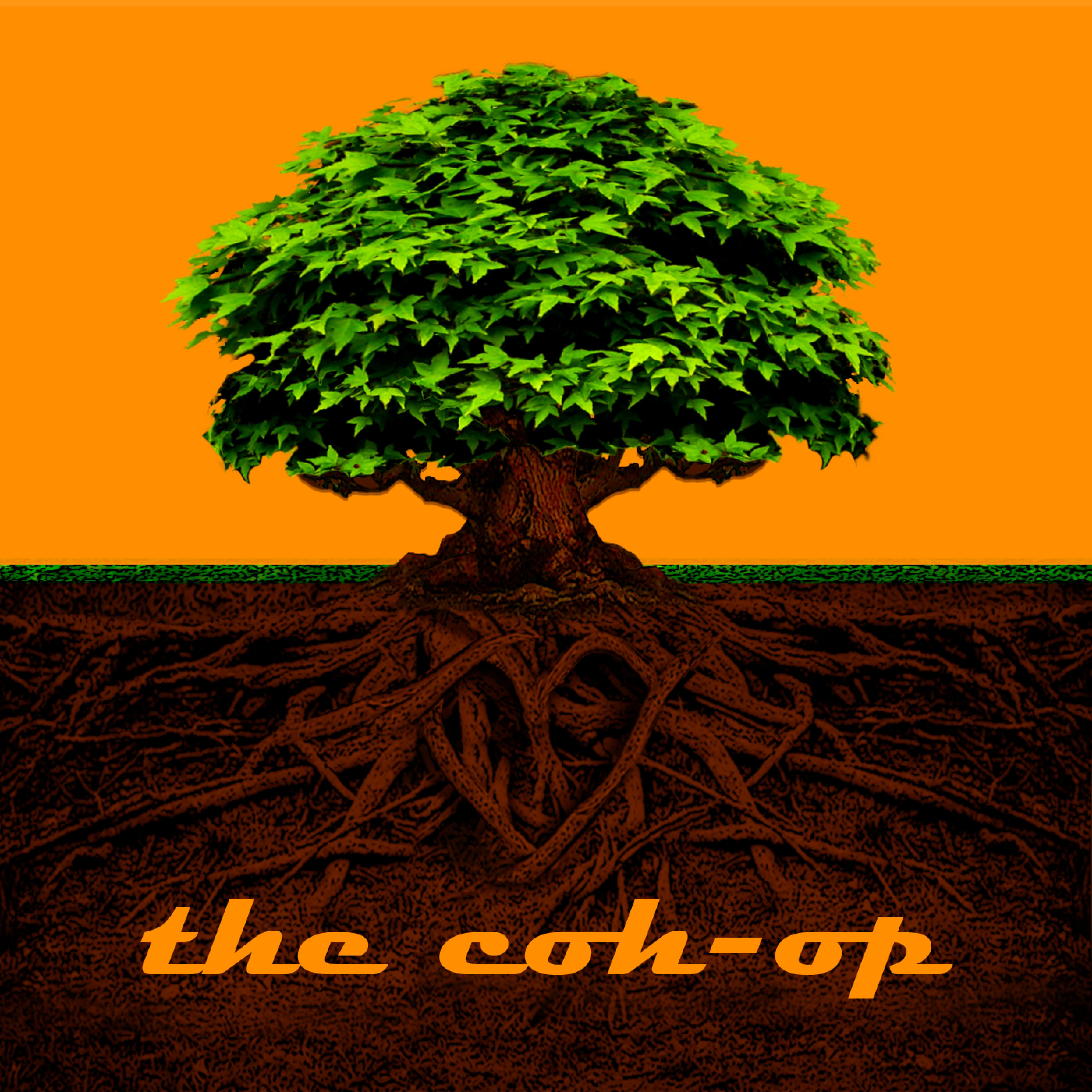 The Coh-op