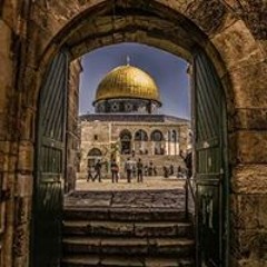 أيمن يونس العربي