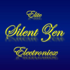 Silent Zen @ Electrify!