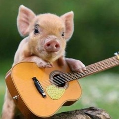 Johnny Breeze and The Stiff Winds