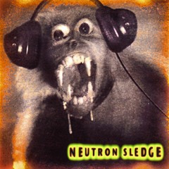 Neutron Sledge