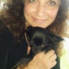 Trish Bentley