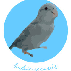 birdie records