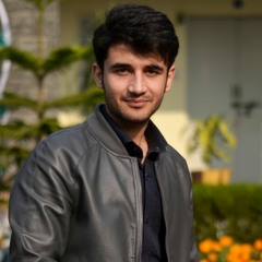 Salman K. Durrani