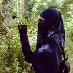 راجية الجنه