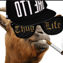 GotL TV