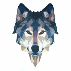crystal wolf collective(CwC)