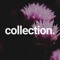 Collection.