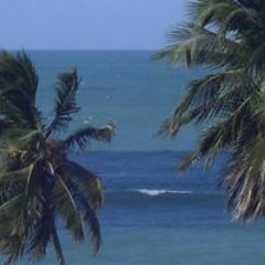 Bruno Oliveira Ferreira