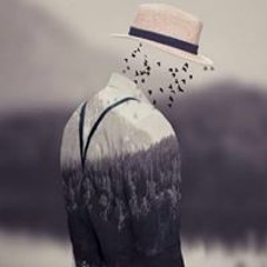 Nestlogia Nestlogia