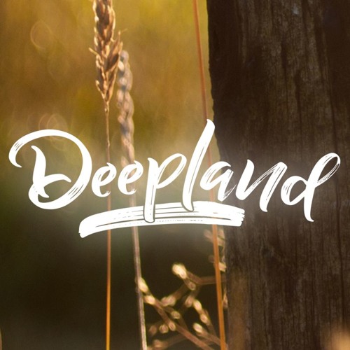 Deepland Records’s avatar