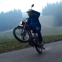 Swissped