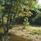 Bucolic