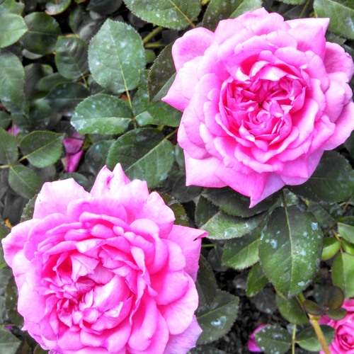 Electronic/Alternative Mashups