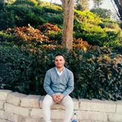 Ahmed Abaza